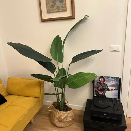 La Magnolia Appartement *