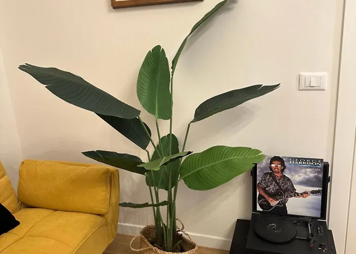 La Magnolia Apartment *